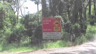 Bunya Mountains.