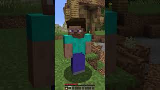 They DESTROYED his house so we called Herobrine #shorts