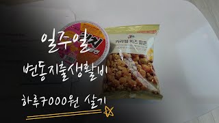 일주일 변동지출생활비 하루7000원으로 살기