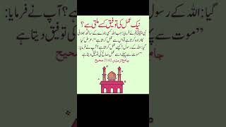 Who is blessed with good deeds? | نیک عمل کی توفیق کسے ملتی ہے | Hadees Pak