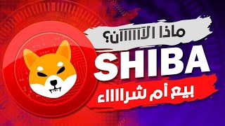 هل نشتري عمله شيبا الان والبيتكوين ام ننتظر تابع 🔥shib