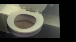 how to unblock a toilet