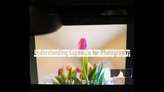 Understanding Photography Exposure for Beginners