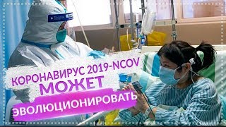 В Китае допустили, что коронавирус 2019 nCoV может эволюционировать