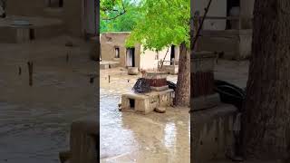 weather condition in my village. #reels #trending #vlog #desi #funny #oldisgold #comedy #selflove