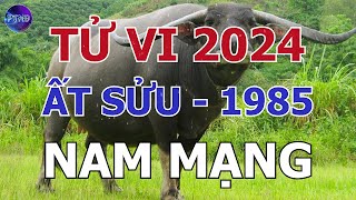 Tử Vi Nam Mạng Ất Sửu 1985 Trong Năm 2024 | Phong Thủy Hoàng Đạo