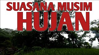 SUASANA MUSIM HUJAN DI DESA - KAMPUNG HALAMAN CIANJUR SELATAN