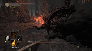 Old Demons King With First Person Perspective - Dark Soul 3