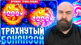 Хозяин ТАЩИТ х100500 в прямом эфире! заносы недели betkat