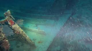 S.S. Benwood Wreck Vid1