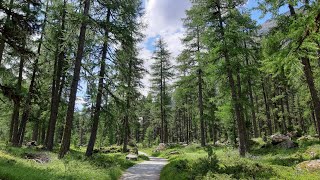 Svizzera. Il sentiero di Val Roseg a Pontresina