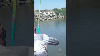 pesca aos ablete em Portugal!