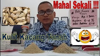 Mahal Sekali !!! Review Kulit Kacang Tanah # Sedikit di saranak untuk formulasi Pakan Ternak