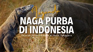 Misteri Pulau Komodo : Legenda Naga Purba di Indonesia