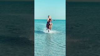 Beach horse riding Dubai #horse #horseridingschool #horseriding #horseing