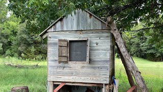 Kids Clubhouse turned into chicken brooder for meat birds #cornishcross #meatchickens #farm #diy