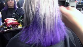 Grey Purple Delight. Jayhair1