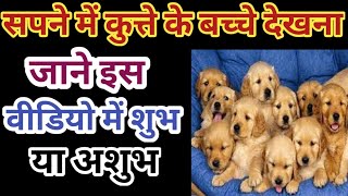 Sapne Mein Kutte Ke Bacche dekhna, सपने में कुत्ते के बच्चे देखना,seeing puppies in a dream