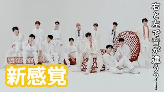 【新感覚】左右で言語が違う？！ SEVENTEEN ⭐️イヤホン推奨⭐️