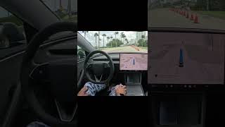 Tesla FSD Successfully Navigates Around Unexpected Cones in the Road