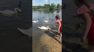 Где в Москве живут бобры 🦫, ежи 🦔 и лебеди 🦢