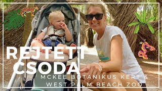 Rejtett csoda: McKee Botanikus Kert & West Palm Beach Zoo