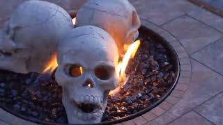 Halloween Skulls in the firepit