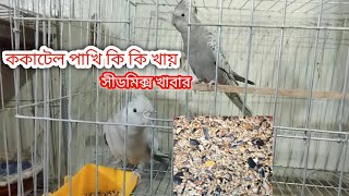 ককাটেল পাখির সীডমিক্স খাবার তালিকা। ককাটেল পাখি সঠিক ভাবে ডিম বাচ্চা করবে।#ককাটেল_পাখি