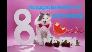 ПРИКОЛЫ К 8 МАРТА/ДО СЛЁЗ СМЕШНЫЕ ПРИКОЛЫ/ПОЗДРАВЬ ДРУЗЕЙ/ПРИКОЛЫ ПРО ЖИВОТНВХ 8 МАРТА/ПОЗДРАВЛЕНИЕ