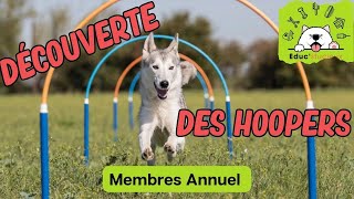 🐾 Hoopers pour Chiens : Découvrez ce Sport Canin Unique avec Nos Membres ! 🏆🐕