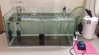 Akvaryum Dış Filtre Kutu Açılımı+İnceleme - Aquarium Filter Review - Sunsun 603b #aquarium