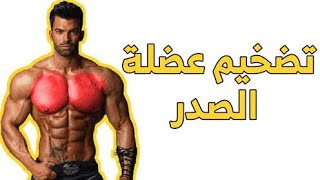 chest workout ( تمرين بنش)