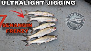 ULTRALIGHT CASTING SENANGIN FRENZY SHIMANO STRADIC Ci4 1000 RELIX NUSANTARA SISIK 2-6 LB