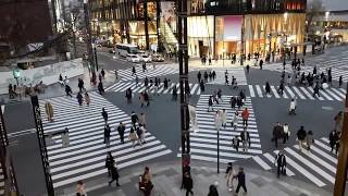 Токио. ЯПОНИЯ. ПЕРЕКРЕСТКИ "X". Сибуя. Tokyo. JAPAN. CROSSROADS "X". Shibuya.