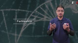 6. Fertilization Process | Class 8 | Chapter 9