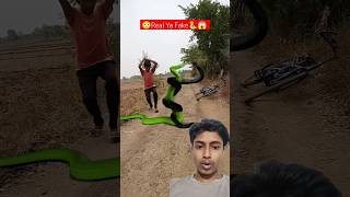 Ye Kon Sa snake Hai 🐍😱 #shorts #viralvideo #snake #animals #ytshort