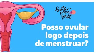 Ovular logo depois da menstruação? BATE-PAPO FÉRTIL EP#08