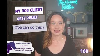 3 Easy Acupressure Points for Pet Joint RELIEF!🐾Announcements📣Ep 160