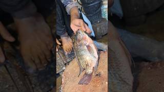 Amazing Tilapia Fish Cutting Skills In Bangladesh Fish Market #shorts