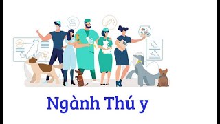 Ngành Thú y là gì? Học trường nào? Cơ hội việc làm sau khi ra trường