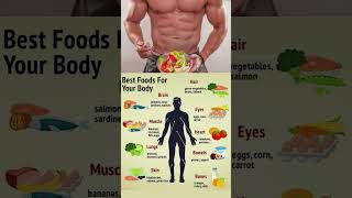 best food for your body