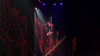 Wow😱🔥 #circus #cirque #extreme #цирк #aerial #show #amazing #воздушнаягимнастика #aerialsilks