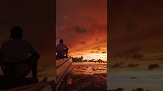 Senja #short #shortvideo #shortsfeed #senja