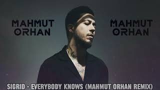 Mahmut Orhan - Everybody Knows (Remix) Slowed & reverb