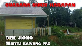 KESIBUKAN DEK JIONO TERKINI // PERSIAPAN BIBIT DAUN BAWANG //pecah bawang