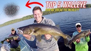 Chasing 5 Big Walleye