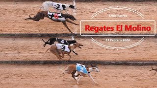 Carrera de regates 1200 metros en el Molino, domingo 11 de Febrero 2024