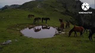 Beautiful Scenery of Jehlum Valley AJK