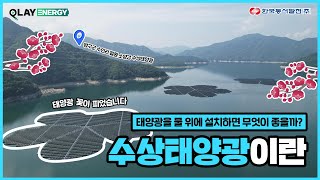 태양광 꽃이 피었습니다🎶 물 위에 떠있는 태양광 발전?! l 수상태양광 알아보기📺