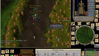 Ultima Online pestilent Doing Oaks 3 (2018 05 01)